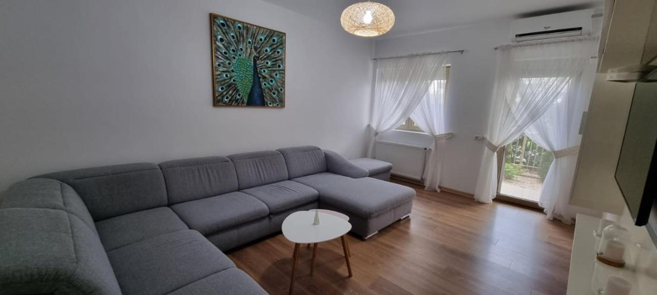 Sasu Apartment Timişoara Exteriör bild
