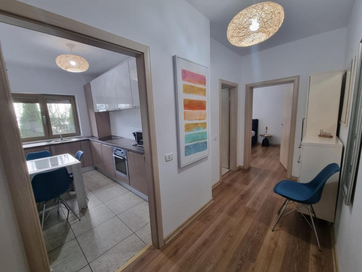 Sasu Apartment Timişoara Exteriör bild