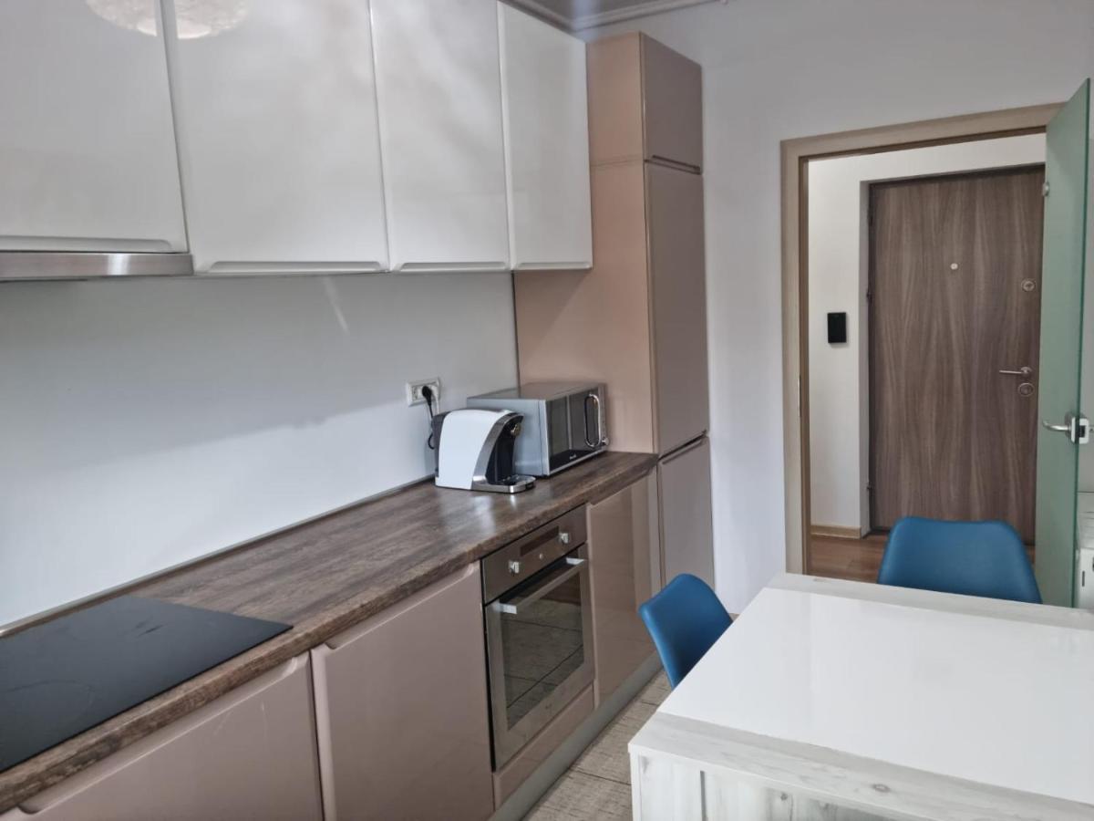 Sasu Apartment Timişoara Exteriör bild