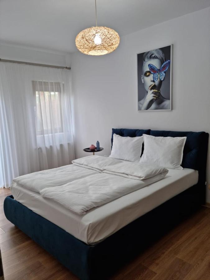 Sasu Apartment Timişoara Exteriör bild