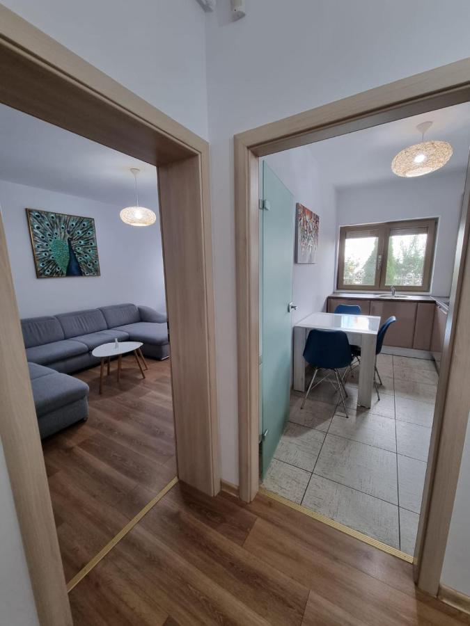 Sasu Apartment Timişoara Exteriör bild
