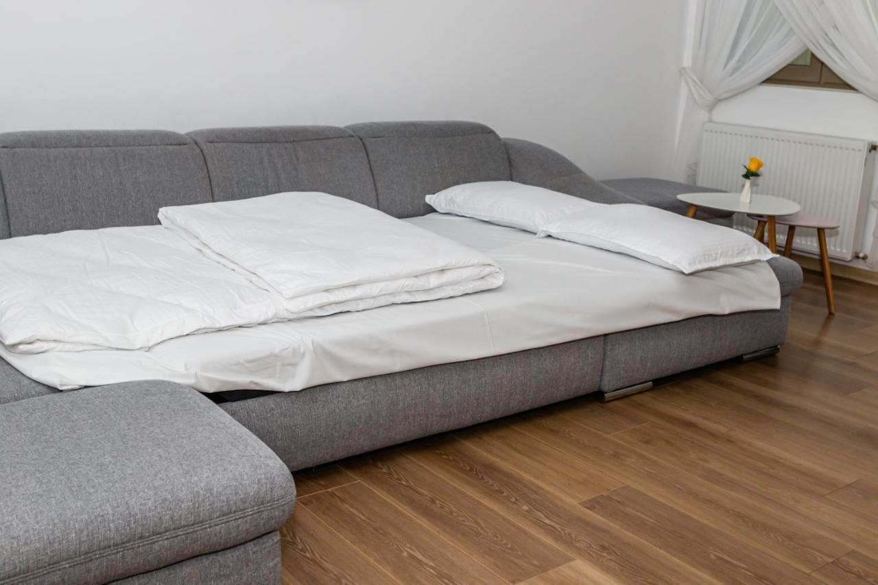 Sasu Apartment Timişoara Exteriör bild